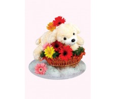 Bear With Flower Arrangement